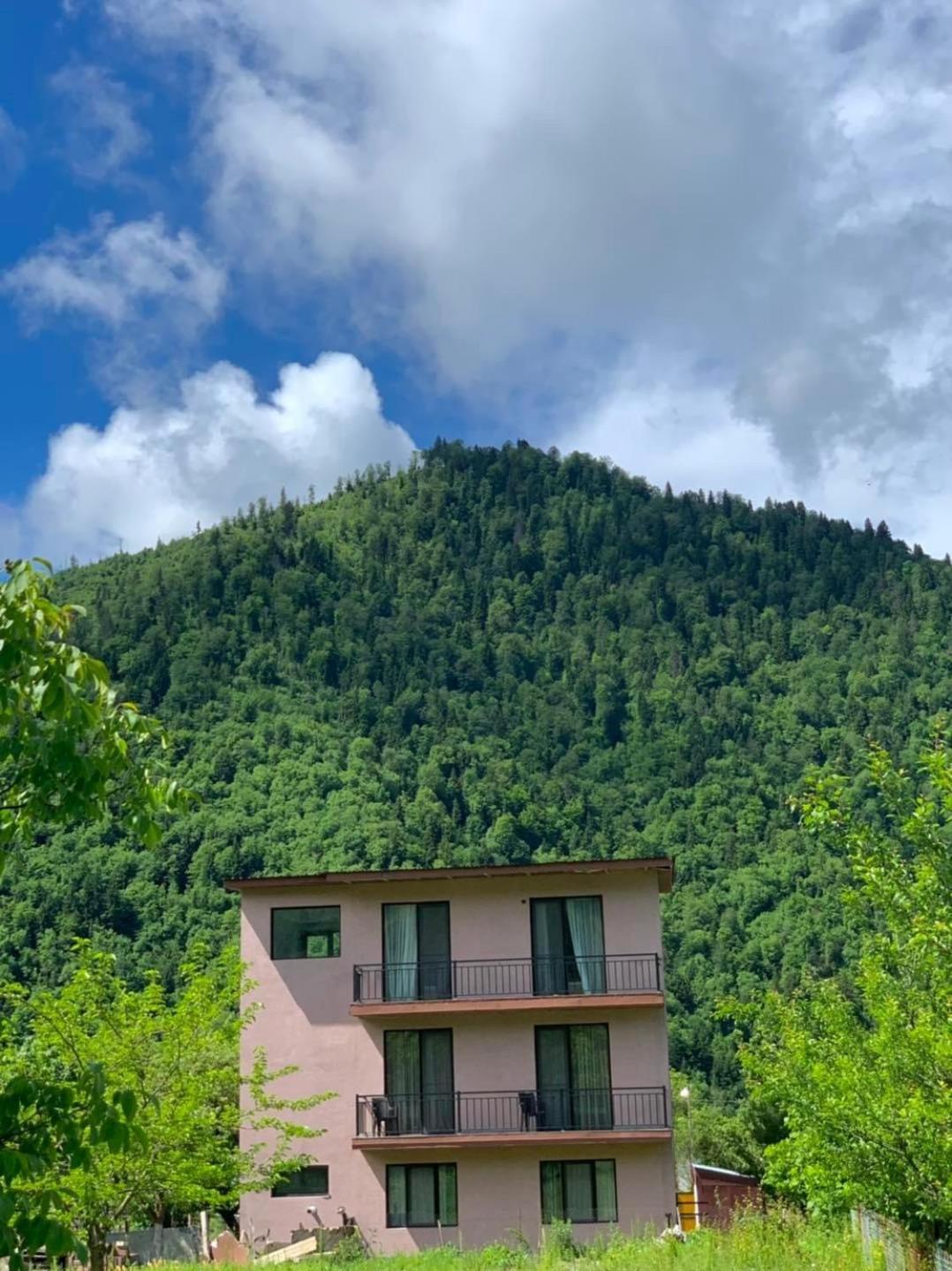 Green Mountain Borjomi Exterior foto
